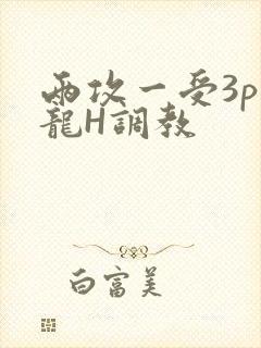 两攻一受3p双龙H调教