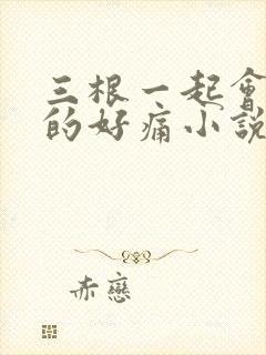 三根一起会坏掉的好痛小说