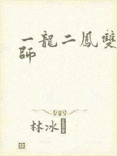 一龙二凤双飞老师