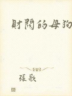 财阀的母狗们