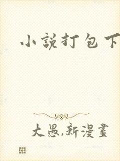 小说打包下载
