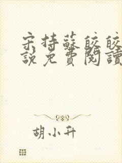 宋持苏皎皎的小说免费阅读