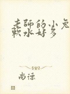 老师的小兔子好软水好多