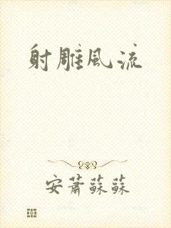 射雕风流