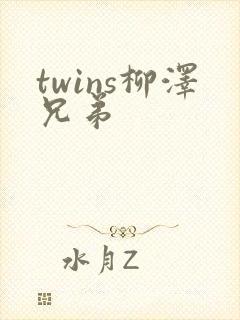 twins柳泽兄弟
