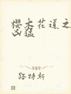 樱木花道之重生凶猛