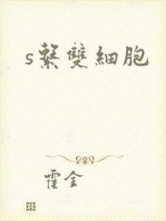 s系双细胞