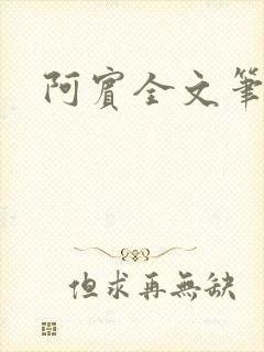 阿宾全文笔趣阁