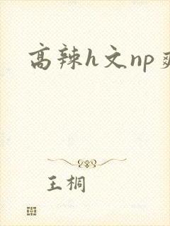 高辣h文np爽