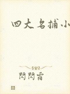 四大名捕小说