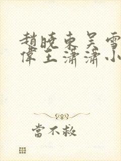 赵晓东吴雪晴郑伟王潇潇小说