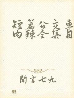 短篇公交车高h肉辣全集目录