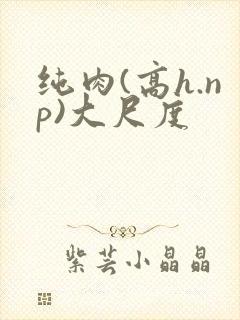 纯肉(高h.np)大尺度