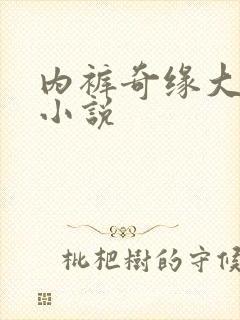 内裤奇缘大团结小说