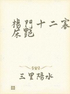 杨门十二寡妇肉床艳
