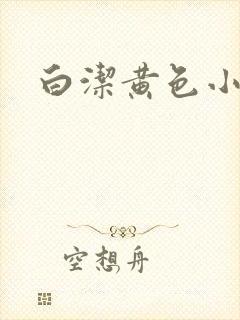 白洁黄色小说