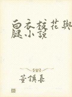 白衣校花与大长腿小说