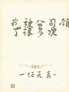 我被公司领导C了很多次