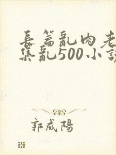 长篇乱肉老师合集乱500小说