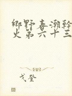 乡野春潮干柴烈火第六十三章