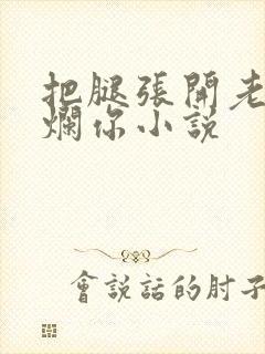 把腿张开老子臊烂你小说