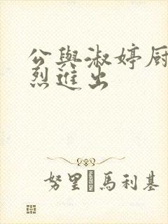 公与淑婷厨房猛烈进出