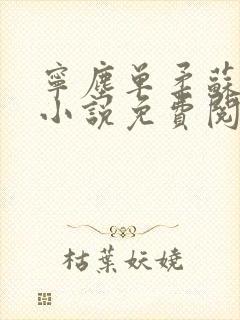 宁尘单柔苏千雪小说免费阅读最新