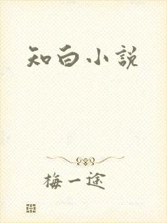 知白小说