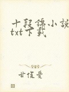 十段锦小说全本txt下载