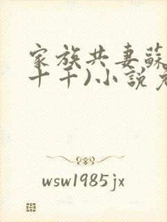 家族共妻苏苏(十千)小说免费