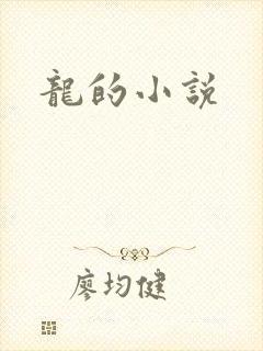 龙的小说