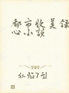 都市收美录宁素心小说