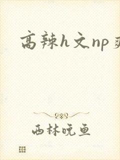 高辣h文np爽