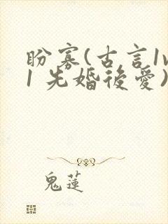 盼寡(古言1v1 先婚后爱)