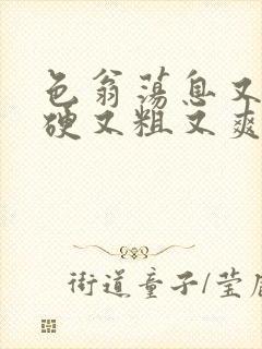 色翁荡息又大又硬又粗又爽