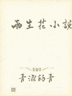 两生花小说