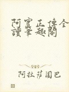 阿宾正传全文阅读笔趣阁