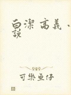 白洁 高义 小说