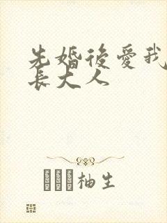 先婚后爱我的市长大人