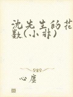 沈先生的花式调数(小非)