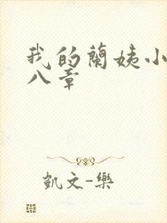 我的兰姨小说第八章