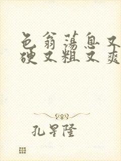 色翁荡息又大又硬又粗又爽