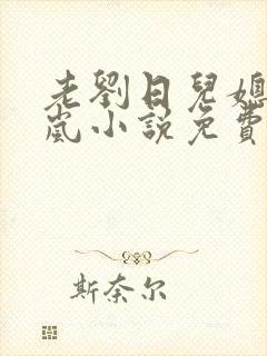 老刘日儿媳妇张岚小说免费阅读