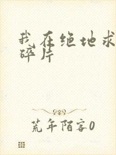 我在绝地求生捡碎片