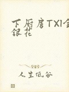 下厨房TXl金银花