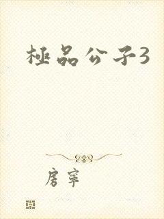 极品公子3