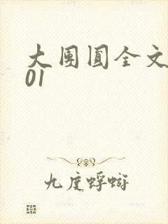 大团圆全文阅读01