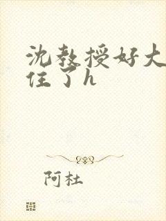 沈教授好大含不住了h