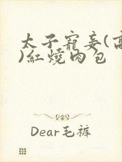 太子宠妾(高肉)红烧肉包