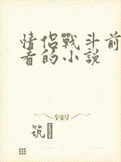 情侣战斗前适合看的小说